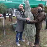 krew, krwiodawstwo, choinki, rckik, 18.12 (17)