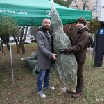 krew, krwiodawstwo, choinki, rckik, 18.12 (19)