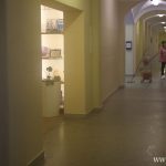 matury próbne, zs1, 06.12 (22)