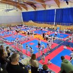 taekwondo (7)