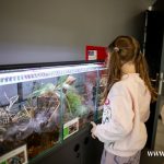 terraria, pająki, zoo, 2025 (6)