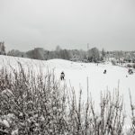 zabawy na śniegu, śnieg, zima, zjeżdżać, górka, wieloryb, lubin, 2025 (1)