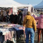 IMG_8741-1024×683