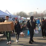IMG_8745-1024×683