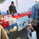 IMG_8751-1024×683