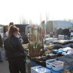 IMG_8756-1024×683