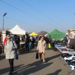 IMG_8770-1024×683