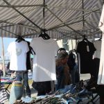 IMG_8775-1024×683