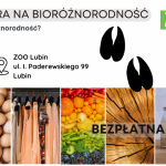 Zaproszenie ZOO Lubin