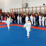 karate (4)