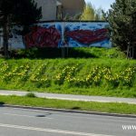 kwiaty, wiosna, 2025 (1)