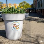 kwiaty, wiosna, 2025 (13)
