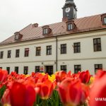 kwiaty, wiosna (3)