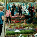 Festiwal Kwiatów i Roślin 2025 (13)