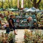 Festiwal Kwiatów i Roślin 2025 (15)