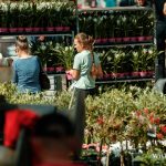 Festiwal Kwiatów i Roślin 2025 (17)