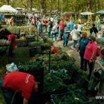 Festiwal Kwiatów i Roślin 2025 (18)