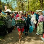Festiwal Kwiatów i Roślin 2025 (19)