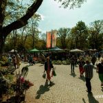 Festiwal Kwiatów i Roślin 2025 (25)