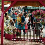 Festiwal Kwiatów i Roślin 2025 (31)