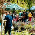 Festiwal Kwiatów i Roślin 2025 (36)