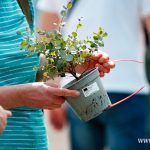 Festiwal Kwiatów i Roślin 2025 (43)