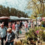 Festiwal Kwiatów i Roślin 2025 (46)