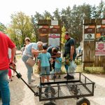 Festiwal Kwiatów i Roślin 2025 (51)