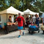 Festiwal Kwiatów i Roślin 2025 (57)