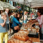 Festiwal Kwiatów i Roślin 2025 (9)