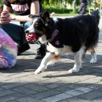 IMG-20250429-WA0291