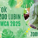 Tło FB urodziny