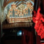 Organowy Dzien Matki, NOD (14)