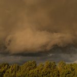 Zdjęcie WhatsApp 2025-06-04 o 19.55.57_eb276e72