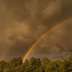 Zdjęcie WhatsApp 2025-06-04 o 19.55.58_1d453191