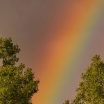 Zdjęcie WhatsApp 2025-06-04 o 19.55.58_f18ac38d