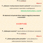 Zrzut ekranu 2025-06-17 135521