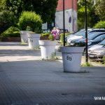 kwiaty, miasto, kwietnie, lato, 2025 (25)