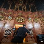 PIOTR DZIURMAN +48667890247