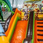 festiwal dmuchańców, hala RCS, Akcja Lato, 15.07 (17)