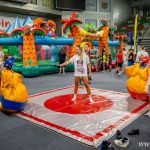 festiwal dmuchańców, hala RCS, Akcja Lato, 15.07 (26)