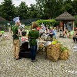 kulturalne lato, zoo, warsztaty, CDT, 2025 (11)