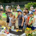 kulturalne lato, zoo, warsztaty, CDT, 2025 (13)