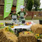 kulturalne lato, zoo, warsztaty, CDT, 2025 (2)