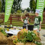 kulturalne lato, zoo, warsztaty, CDT, 2025 (8)
