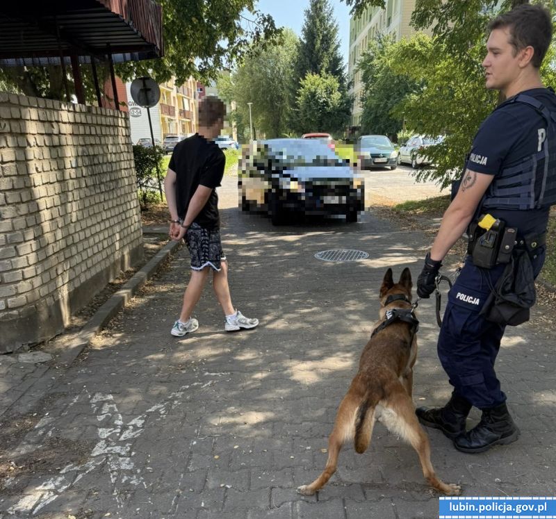 Uciekł z miejsca wypadku, namierzył go policyjny pies