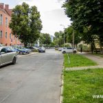drzymały (3)