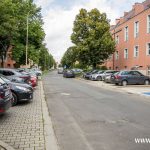drzymały (5)