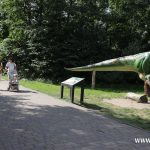 zoo, dinozaury, odnowione figury (21)