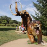 zoo, dinozaury, odnowione figury (23)